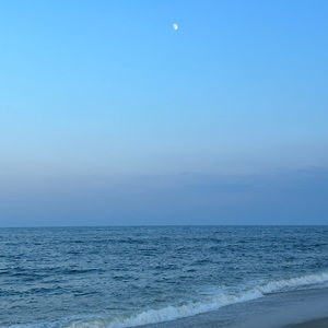 Meet your Posher, Aaliyah